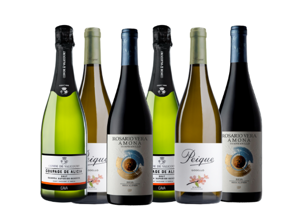 Pack de 6 botellas