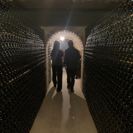 Terroir 4U N3 (6 botellas)