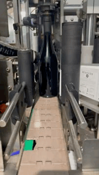 MÍSTICOS 2022: 6 botellas y envío gratis