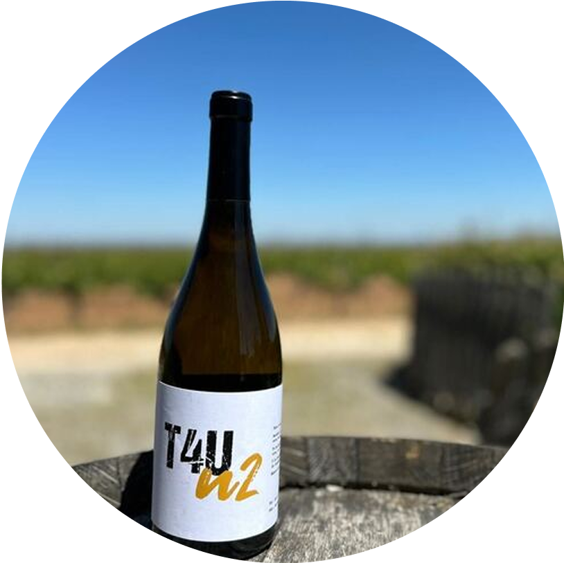 n2.png__PID:c4177967-fc71-4574-bf5b-972a1230a92f