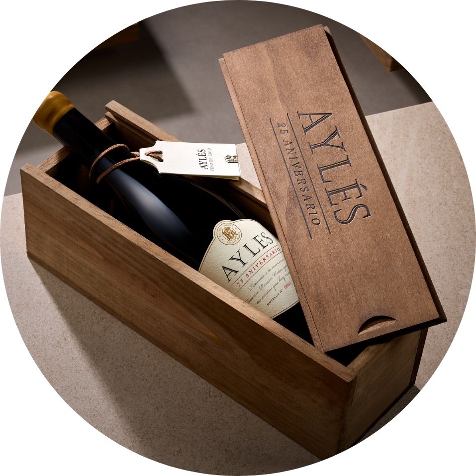 Aylés 25 Aniversario