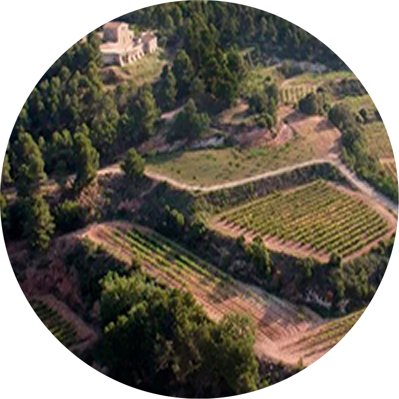 Enoturismo Clos Montblanc (17 de octubre 2026)