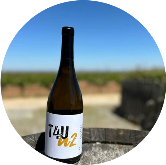 n2.png__PID:c4177967-fc71-4574-bf5b-972a1230a92f